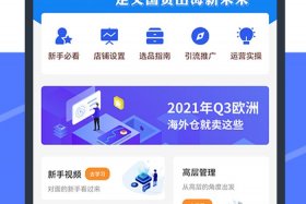 wish跨境电商平台特点（wish跨境电商平台特点是什么）