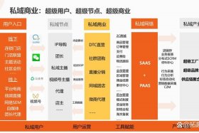 电商saas平台有哪些，电商saas平台有哪些平台