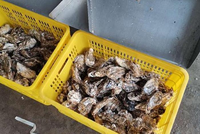 海螺电商平台怎么截长图 - 海螺电商平台进不去怎么办