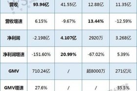 宝尊电商二季度业绩公布 宝尊电商这个公司怎么样