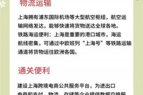 上海有哪些跨境电商；上海有哪些跨境电商平台