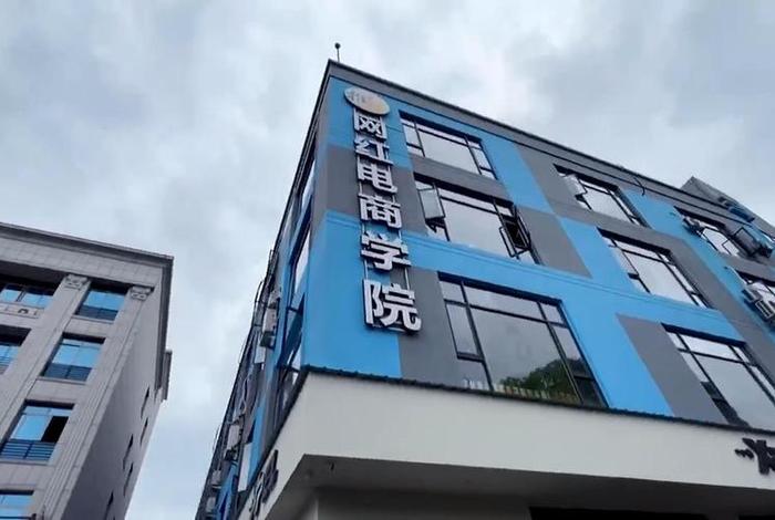 红电商学院；网红电商学院