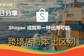 到东南亚的跨境电商，东南亚的跨境电商平台本土店