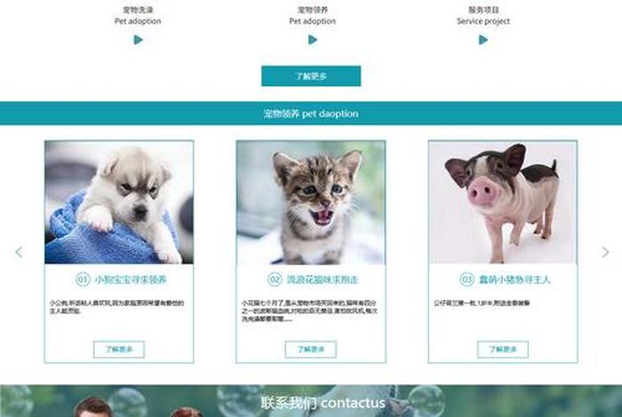 宠物电商网站,宠物电商网站有哪些 宠物电商网站,宠物电商网站有哪些