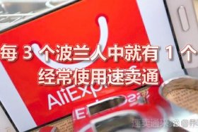 波兰电商平台开店、波兰电商平台开店流程