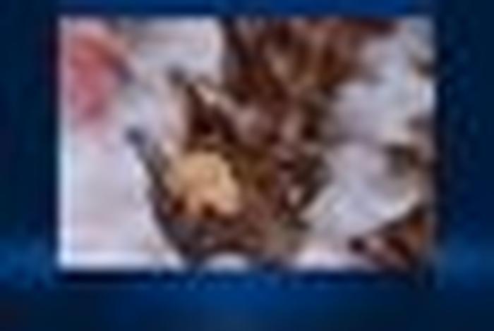 海螺电商系统官网下载 海螺电商app下载