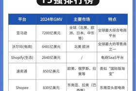 垂直 电商 垂直电商前十排名