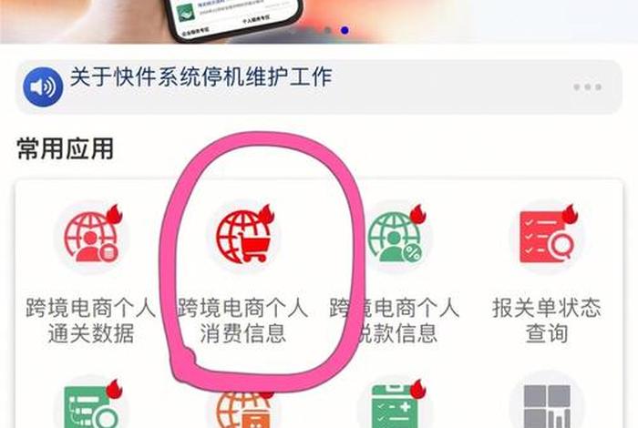 跨境电商个人通关数据，跨境电商个人通关数据包真吗