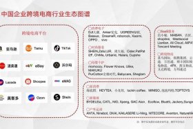 跨境电商开发软件（跨境电商软件开发公司排名）