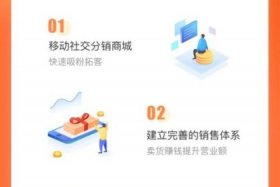 分销电商什么意思 分销电商什么意思啊