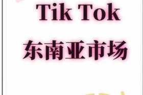 东南亚跨境电商tiktok，东南亚跨境电商tiktok可以先上品再买货吗