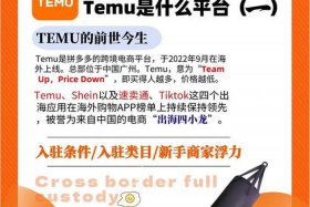temu跨境电商官网中文版 netsuite 跨境电商