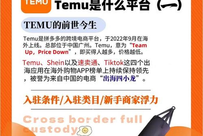 temu跨境电商官网中文版 netsuite 跨境电商 temu跨境电商官网中文版 netsuite 跨境电商