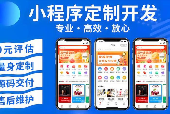 电商程序开发,电商开发平台程序 电商程序开发,电商开发平台程序