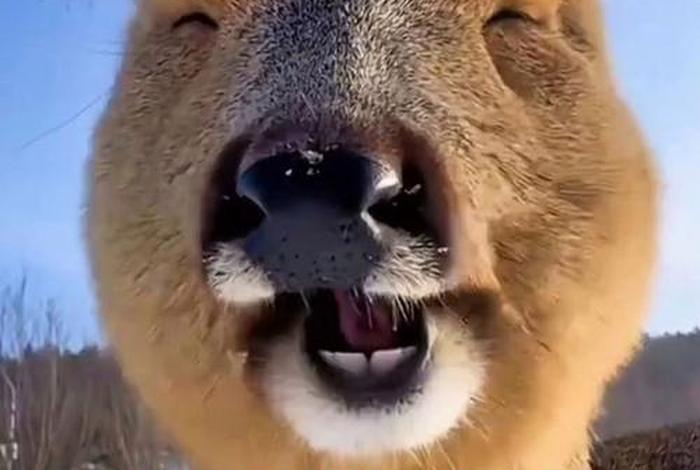 电商志 - 电商志小鹿 电商志 - 电商志小鹿