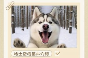 哈士奇电商插件下载链接，哈士奇电商插件下载链接安装