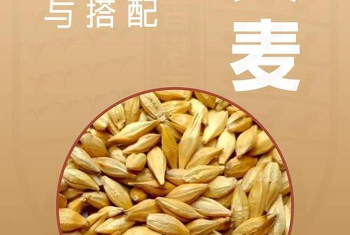 大麦电商供应链、大麦电商供应链怎么样