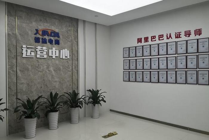 电商供应链管理有限公司（电商供应链公司有哪些）