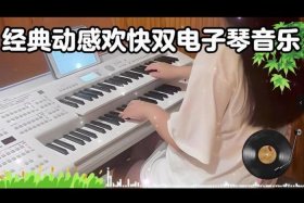 双电子琴音乐100首 - 双电子琴音乐100首朋友情