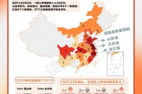 县域电商（县域电商发展指数）