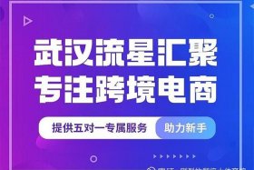 武汉电商平台推荐 武汉电商平台推荐公司