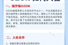 俄罗斯电商平台ozon开店全流程 - 俄罗斯电商平台ozon中文
