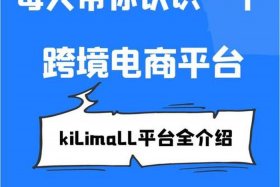 非洲电商平台有哪些 非洲电商平台有哪些品牌