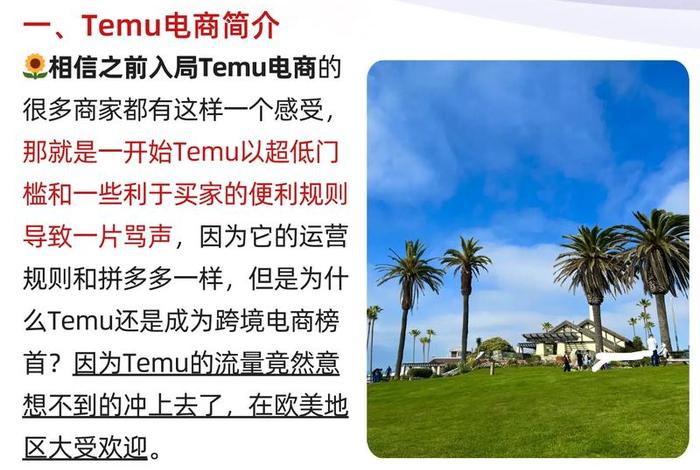 temo跨境电商平台;跨境电商平台tophatter temo跨境电商平台;跨境电商平台tophatter