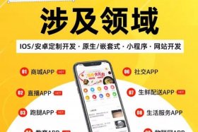 开发电商app客户 - 开发电商app客户服务