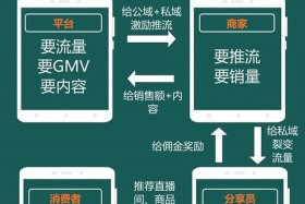 抖音电商平台分销（抖音电商平台分销渠道）