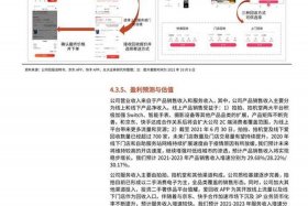 垂直电子商务模式的优势（垂直电子商务模式的优势有哪些）