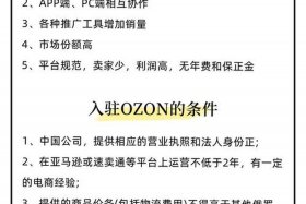 ozon电商平台入驻需要多少钱 - ozon电商平台好做吗
