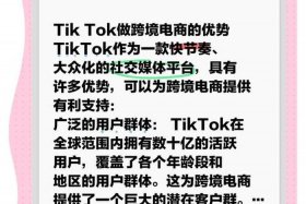 tiktok电商跨境业务，tiktok电商跨境业务官网