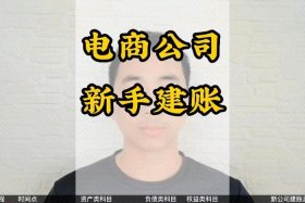 电商商家维权申诉收入计入哪个科目明细（电商申诉平台）