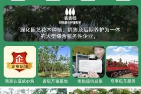 淘宝买到假苗木如何处理 淘宝买到假苗木如何处理呢