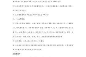 电商创业项目计划书模板 电商创业项目计划书模板图片