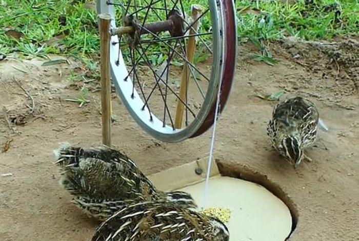 小笨鸟平台的特点 小笨鸟网络跨境平台 小笨鸟平台的特点 小笨鸟网络跨境平台