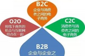 国内电商平台有哪些b2b（国内b2b电子商务平台有哪些）