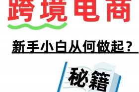 小白做跨境电商需要多少钱 - 小白做跨境电商需要多少钱呢