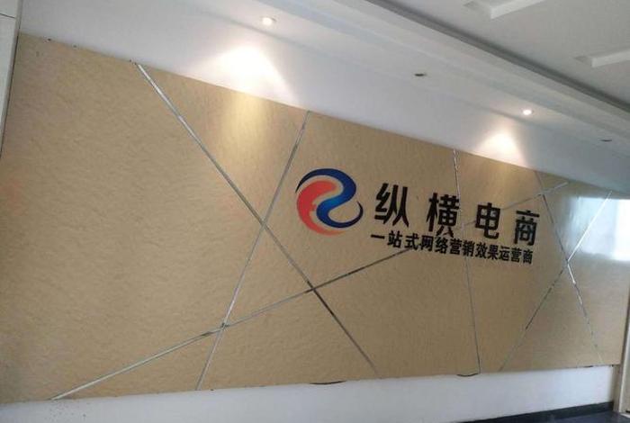 纵横电商集团；纵横电商集团怎么样