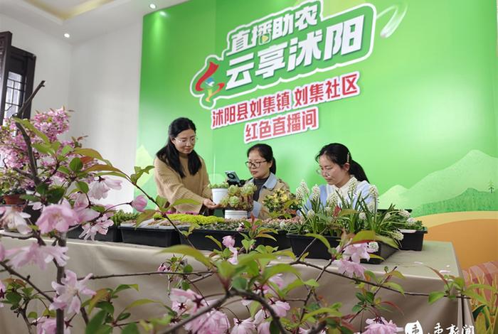 电商助农直播间设计（电商助农直播间设计方案）