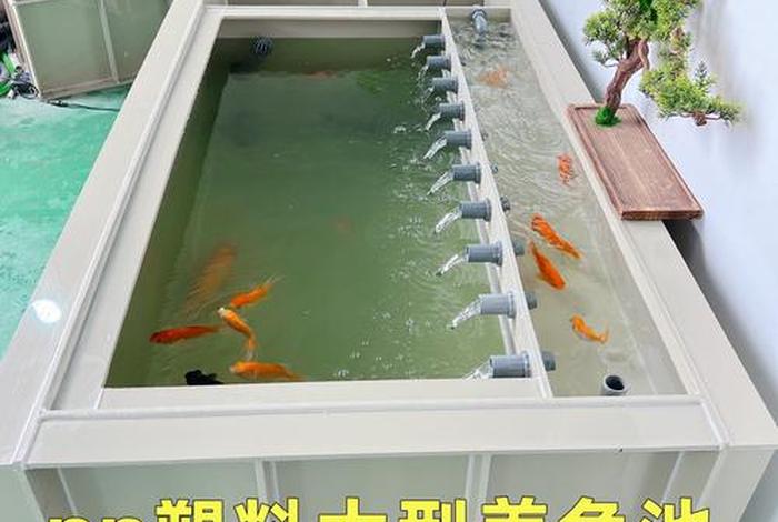 电商鱼池什么意思,电商养鱼塘是什么意思 电商鱼池什么意思,电商养鱼塘是什么意思