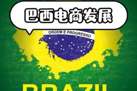 巴西电商平台市场、巴西最大网购平台