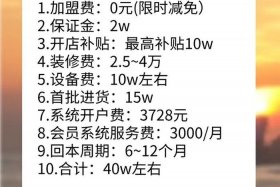 加盟电商需要多少钱（加盟电商需要多少钱一个月）