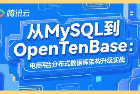 电商平台代码怎么查；电商平台代码怎么查询