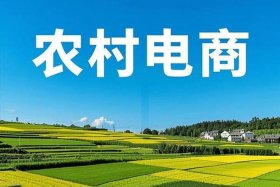 乡村电商教学ppt - 农村电商 ppt