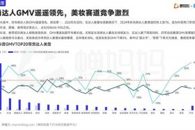 电商转支；电商支付转化率多少才算正常