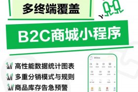 电商小程序上线需要什么条件 电商小程序上线需要什么条件呢