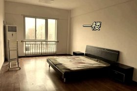 商水商电的房子能租吗、商水商电的公寓能租吗