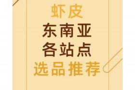 东南亚电商虾皮 - 虾皮跨境电商东南亚卖些什么合适